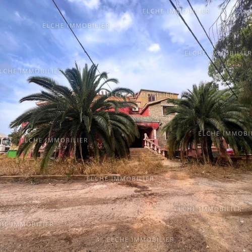 Vente Terrain Oran Oran