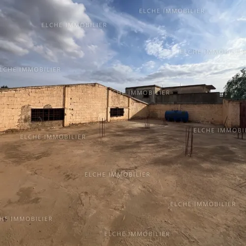 Location Local Oran Sidi maarouf