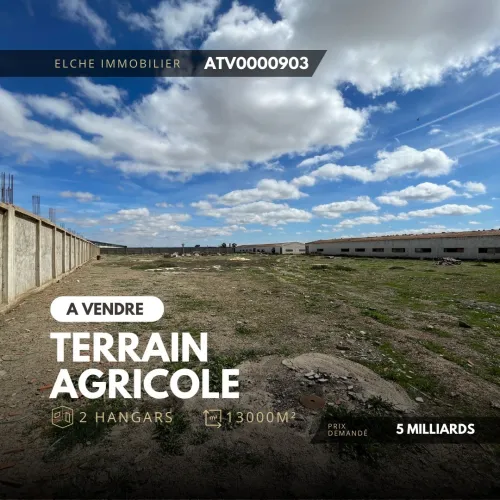 Vente Terrain Oran Tafraoui