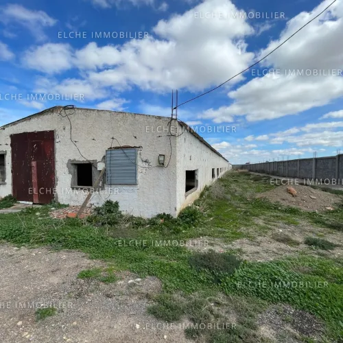 Vente Terrain Oran Tafraoui