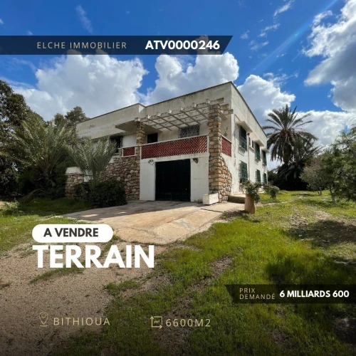 Vente Terrain Oran Bethioua