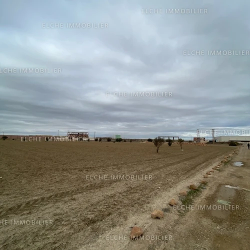 Vente Terrain Oran Tafraoui