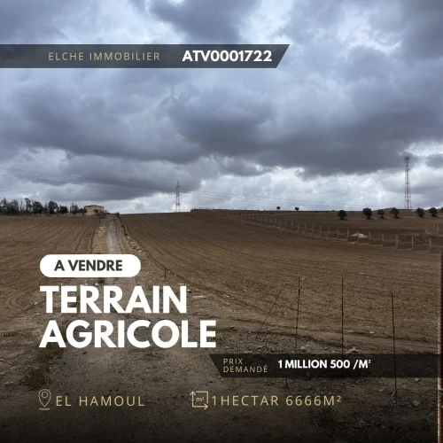 Vente Terrain Agricole Oran El Kerma