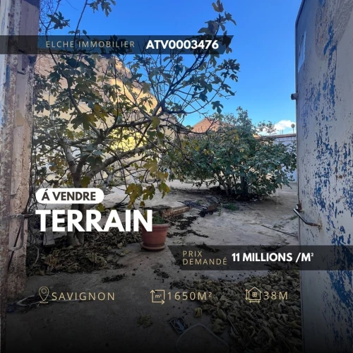 Vente Terrain Oran Oran