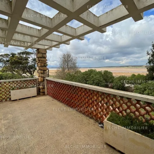 Vente Terrain Oran Bethioua