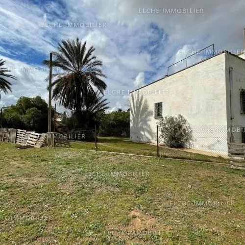 Vente Terrain Oran Bethioua