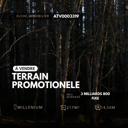 Vente Terrain Oran Bir el djir
