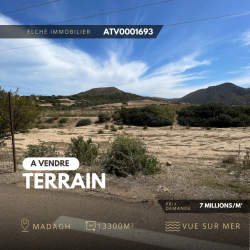 Vente Terrain Oran Ain el kerma