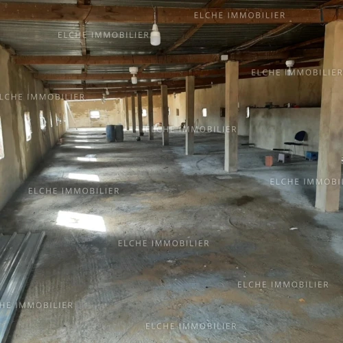 Vente Terrain Oran El Kerma
