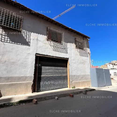 Vente Terrain Oran Oran