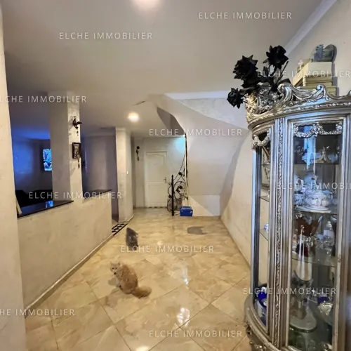 Vente Immeuble Oran Oran