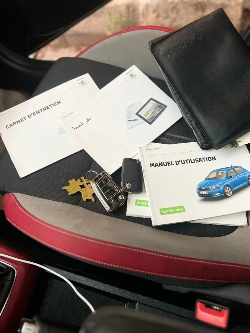 Skoda Fabia 2017 Monte Carlo