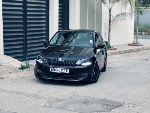 Skoda Fabia 2017 Monte Carlo
