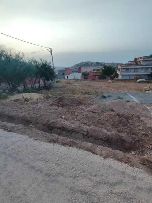 Vente Terrain Tlemcen Msirda fouaga