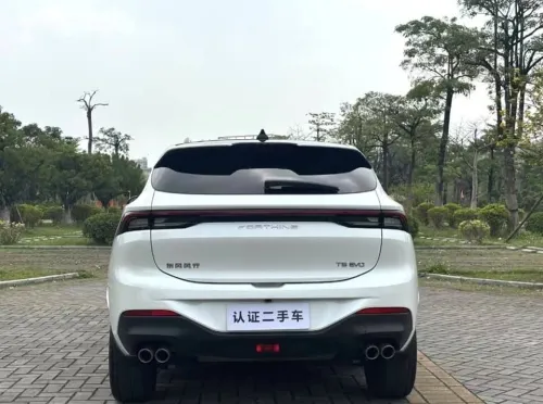 DF Joyear  T5 EVO 2023 Luxury