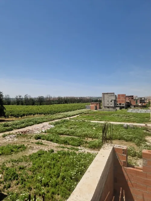 Vente Villa Blida Ben khellil
