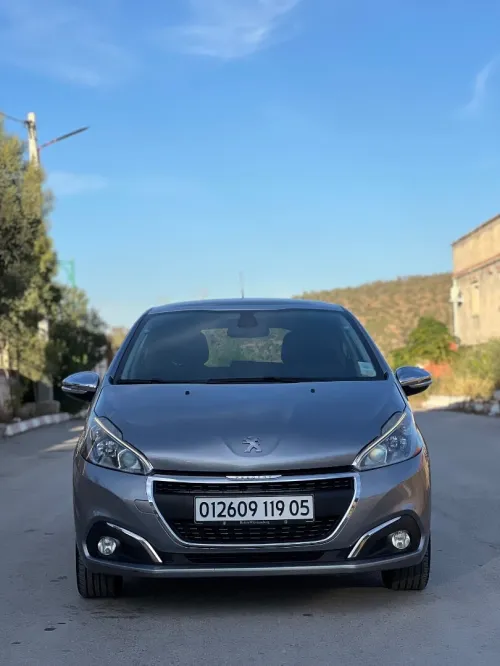 Peugeot 208 2019 Tech Vision