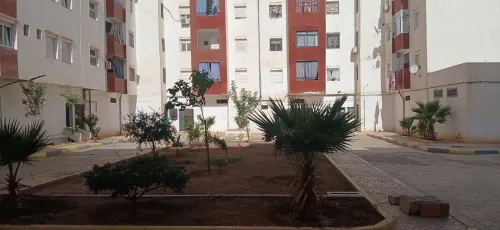 Location Appartement F3 Sidi Bel Abbès Sidi bel abbes