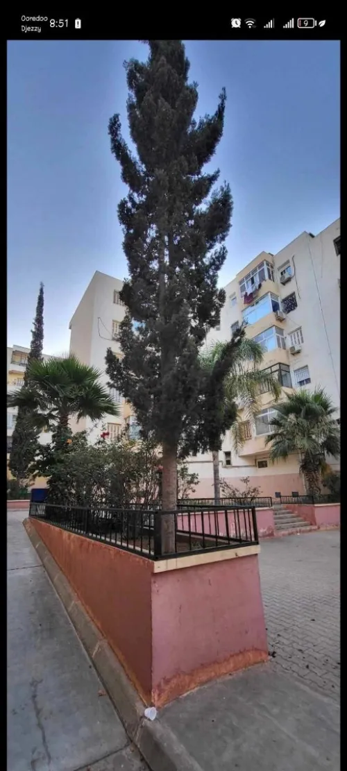 Vente Appartement F3 Oran Bir el djir