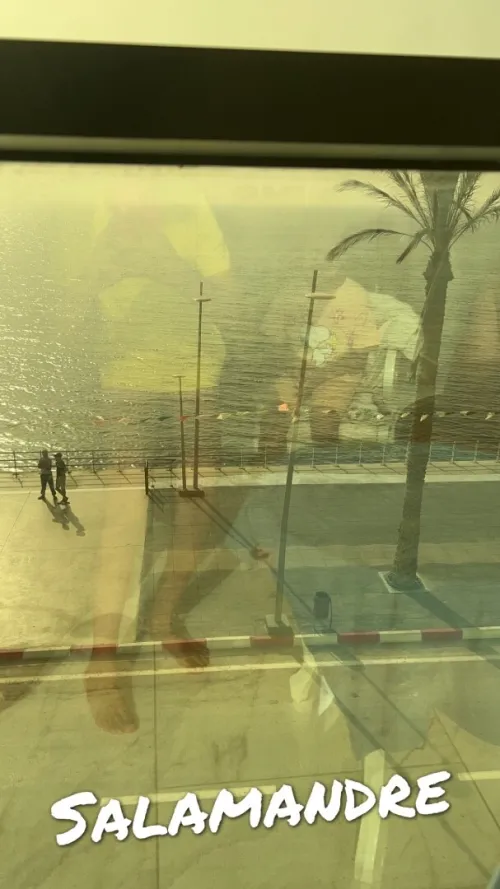 Location Appartement Mostaganem Mostaganem