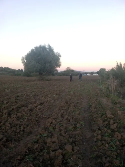 Vente Terrain Agricole El Tarf El taref