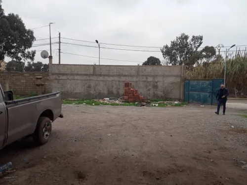 Location Terrain Alger Bordj el kiffan