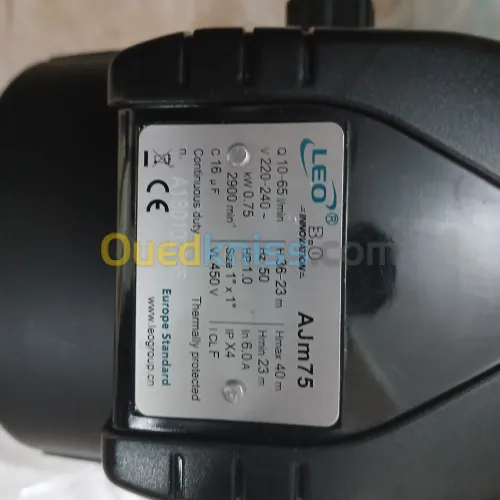 LEO AJm75 pompe a eau