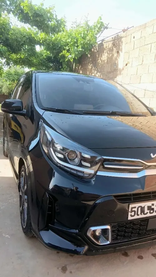 Kia Picanto 2023 Picanto