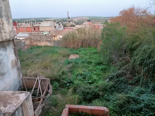 Vente bien immobilier Ain temouchent Chaabet el ham