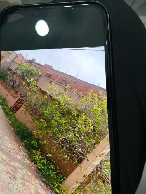 Vente Villa Tlemcen Souahlia