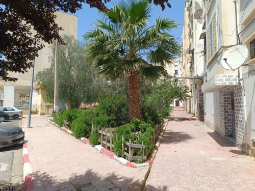 Vente Appartement F3 Bouira Bouira