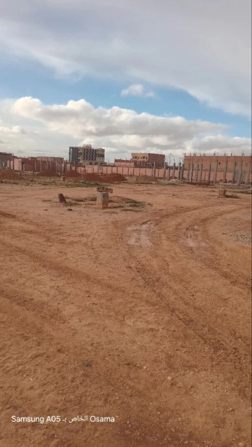 Vente Terrain Djelfa Djelfa