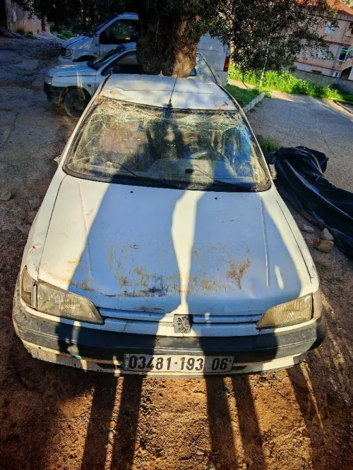 Peugeot 306 1993 306