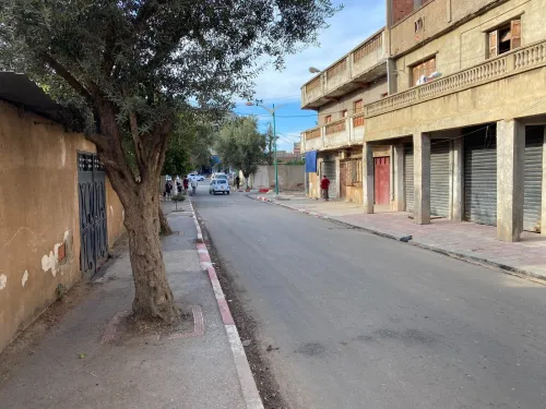 Location Local Tipaza Hadjout