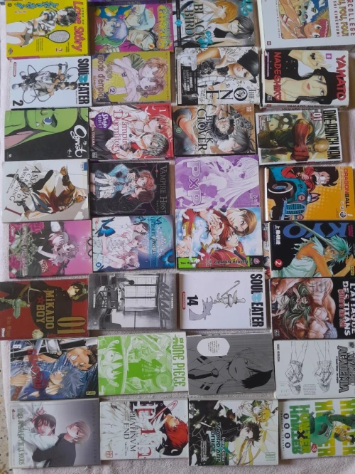 Lot de Mangas