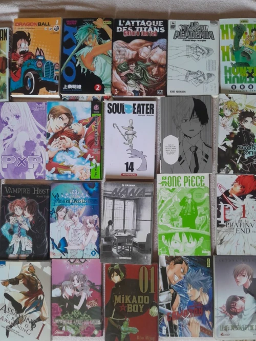 Lot de Mangas