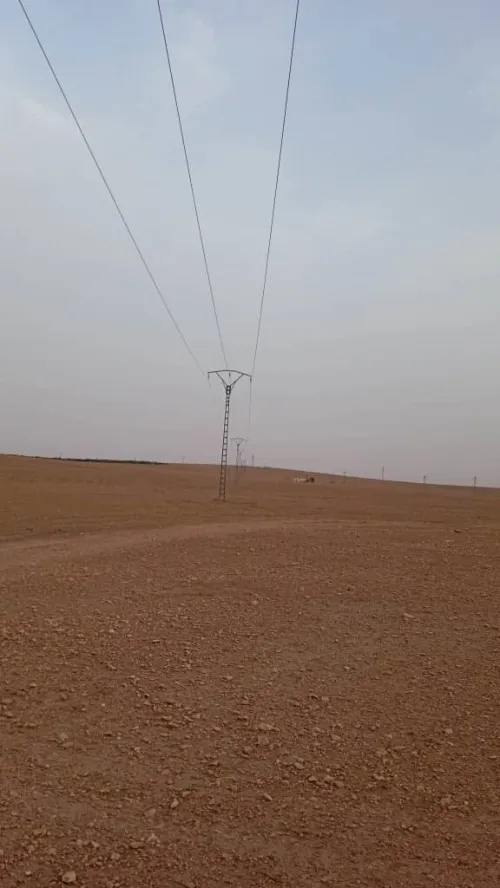 Vente Terrain Agricole Saïda Maamora