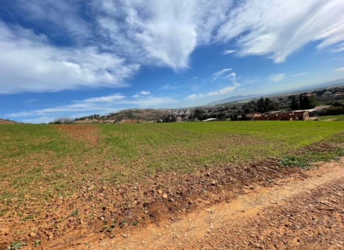 Vente Terrain Aïn Defla El abadia
