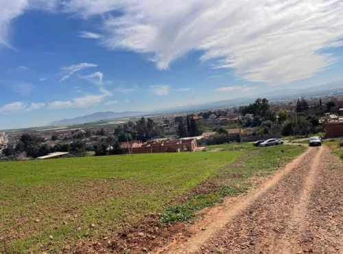 Vente Terrain Aïn Defla El abadia