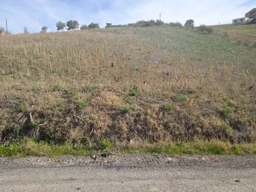 Vente Terrain Tizi Ouzou Ouadhia