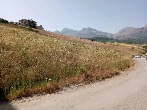 Vente Terrain Tizi Ouzou Ouadhia