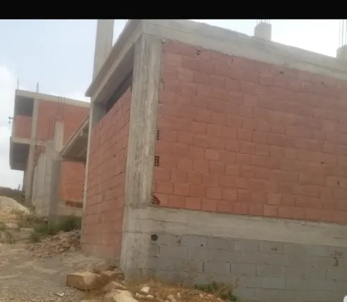Vente Terrain Blida Meftah