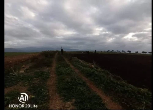 Vente Terrain Tlemcen Dar yaghmouracene