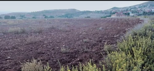 Vente Terrain Tlemcen Dar yaghmouracene