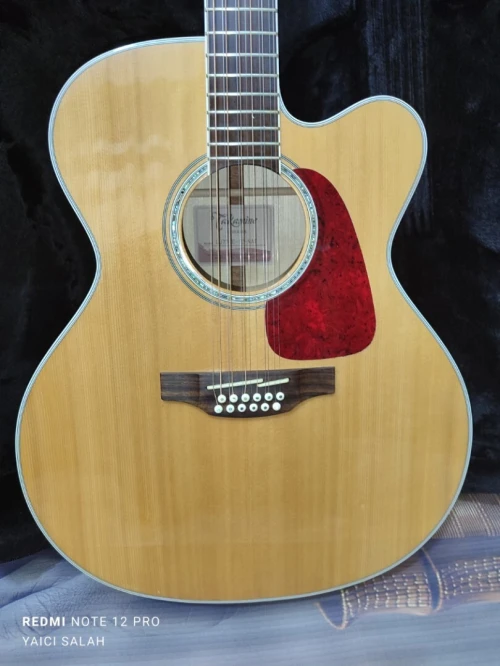 5 Guitares 12 cordes à vendre.