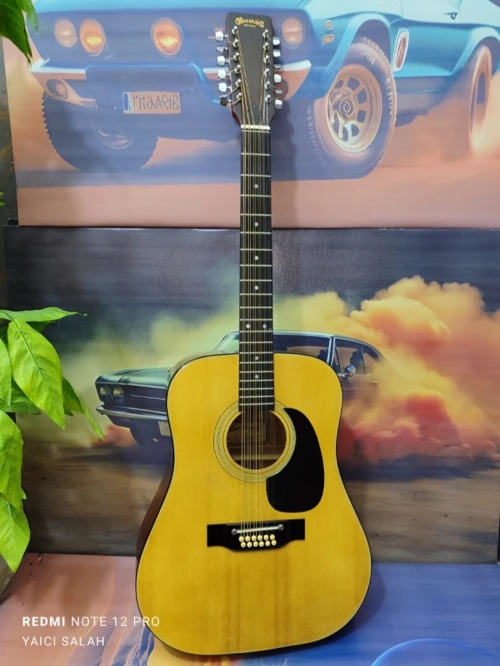 5 Guitares 12 cordes à vendre.