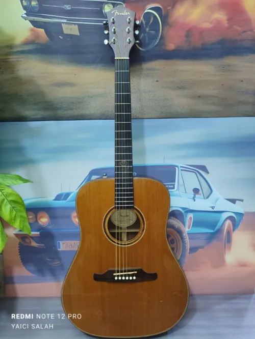6-Belles guitares acoustiques