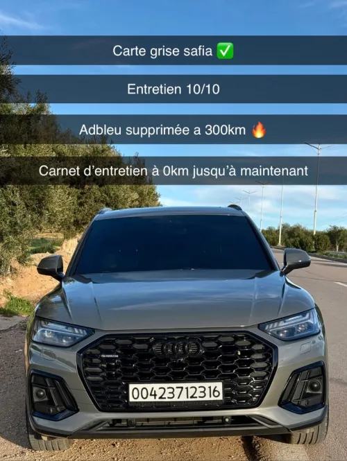 Audi Q5 2023 Sline Quattro carte grise safia
