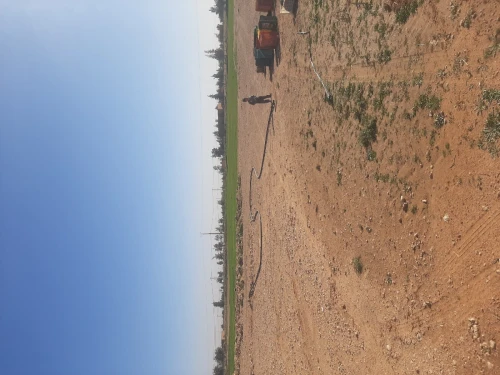 Vente Terrain Agricole Naama Ain ben khelil