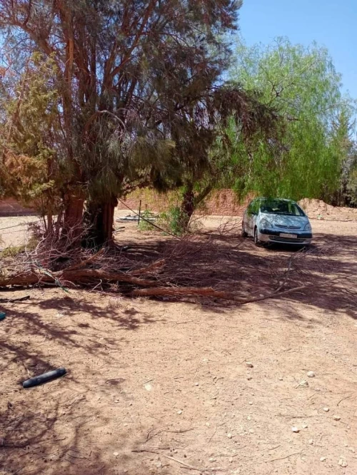 Vente Terrain Agricole Naama Ain ben khelil